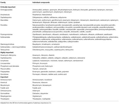 Availability of Antibiotics for Veterinary Use on the Internet: A Cross-Sectional Study